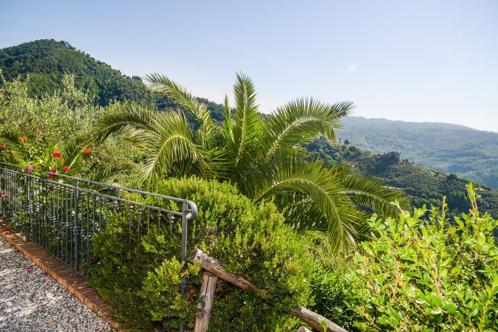 Agriturismo La Marginella بيسيا المظهر الخارجي الصورة